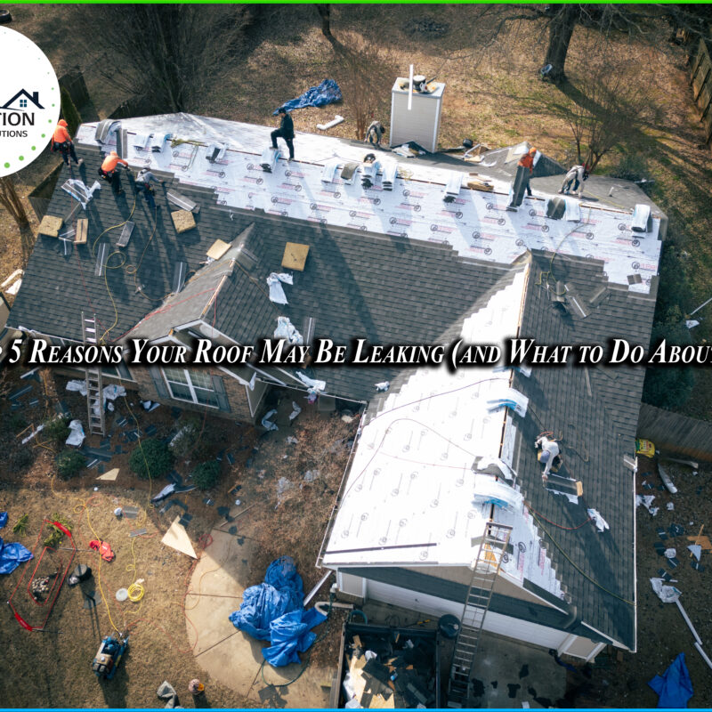 Top 5 Reasons Your Roof May Be Leaking (And What To Do About It)